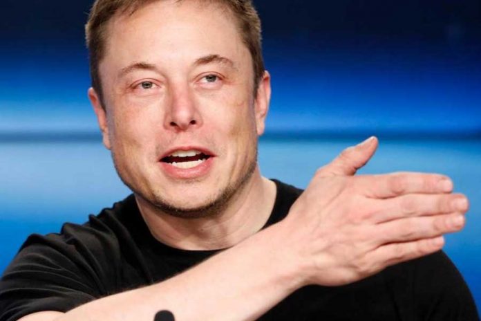 Se suspende la compra de Twitter por Elon Musk