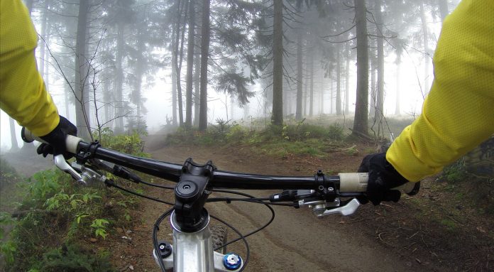 Camino de bosque, brazos llevando volante de bicicleta
