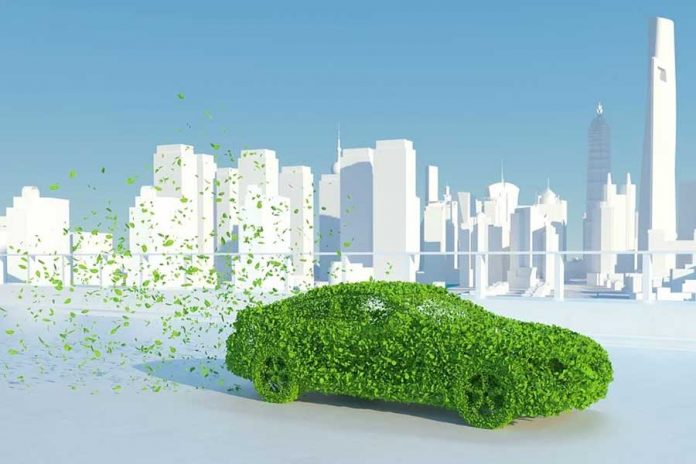 sostenibilidad-hojas-coche- movilidad