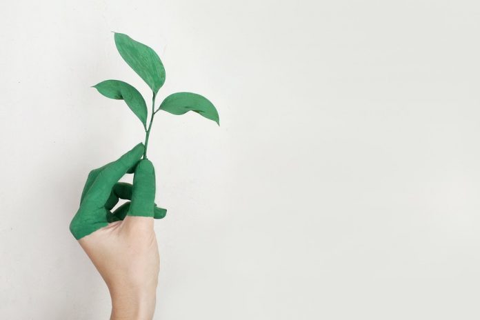 Mano pintada de verde sosteniendo planta - sostenibilidad