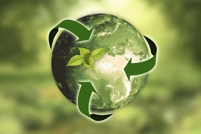 Sostenibilidad verde