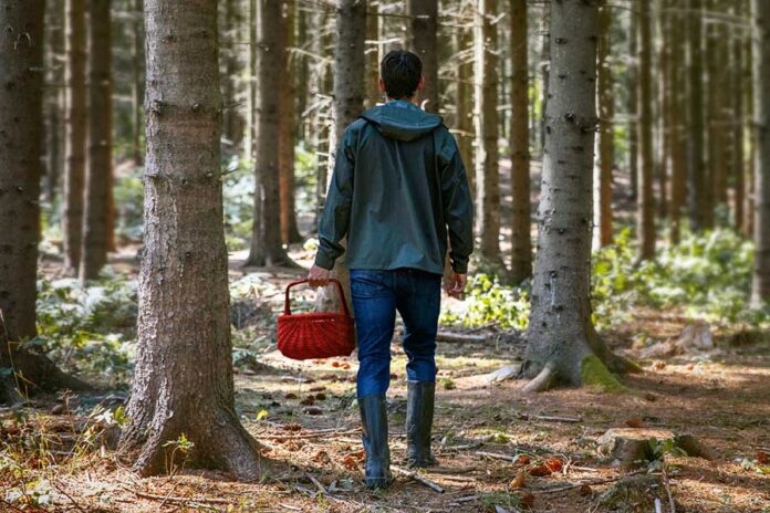Hombre con cesta roja caminando por el bosque