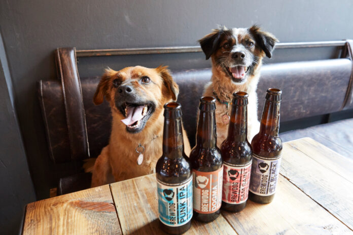 Perros con botellas de cervezas