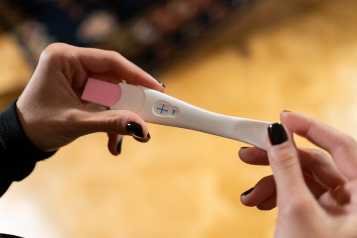 embarazo - fertilidad - la infertilidad