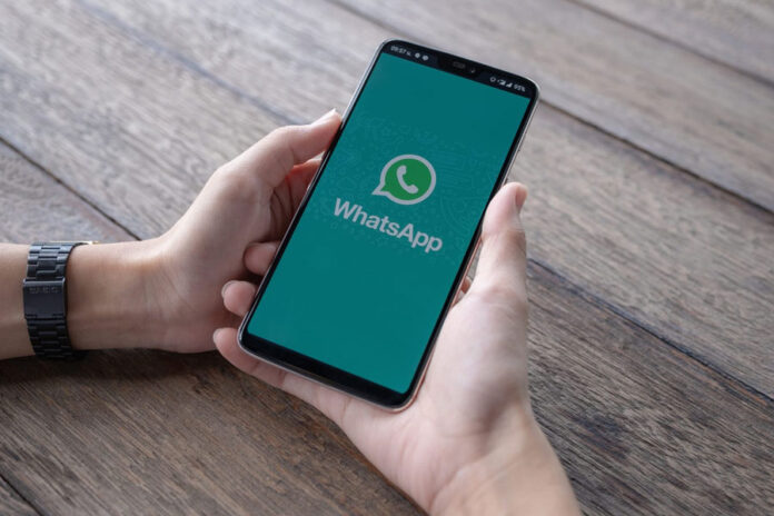 whatsapp business smartphone en manos
