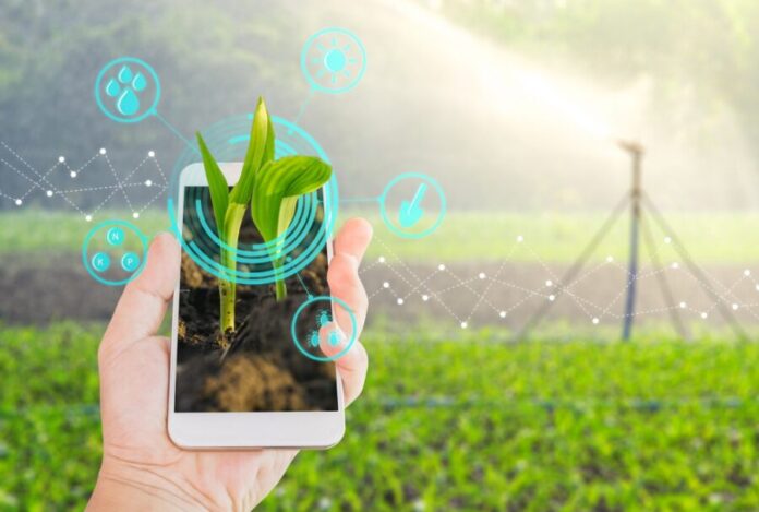 digitalización agrícola