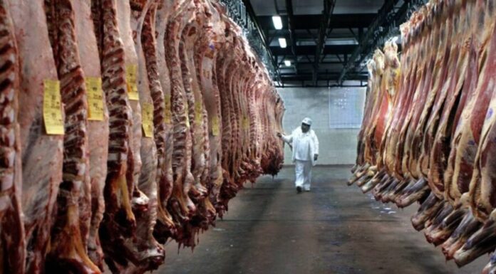 carne exportación estados unidos