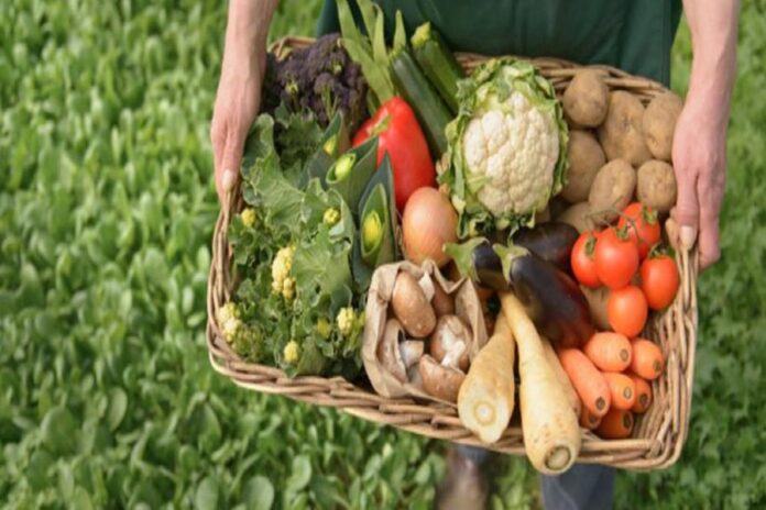 Lipigas entra al e-commerce de frutas y verduras