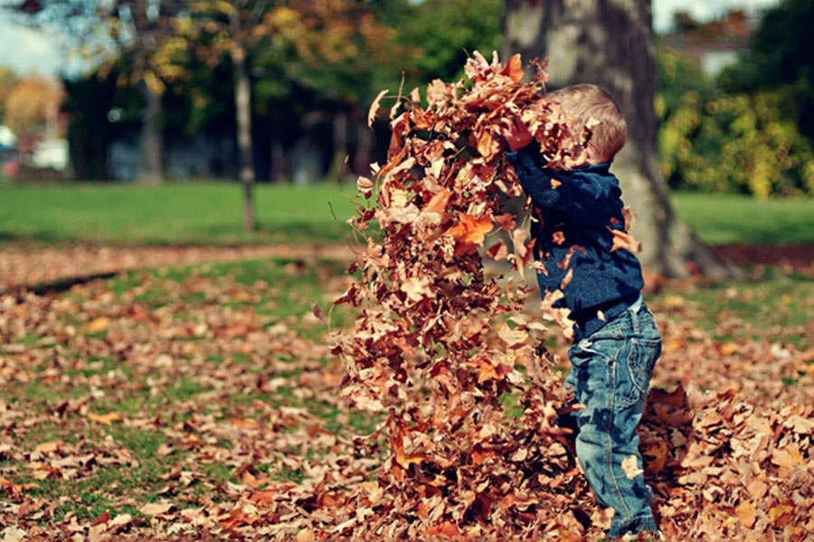 niño jugando con hojas secas